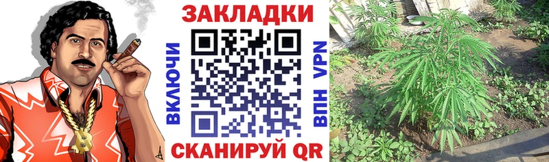Что такое Куйбышев Марихуана  Псилоцибиновые грибы  Гашиш  Амфетамин  Мефедрон  КОКАИН 