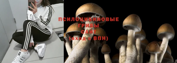 MDMA Беломорск