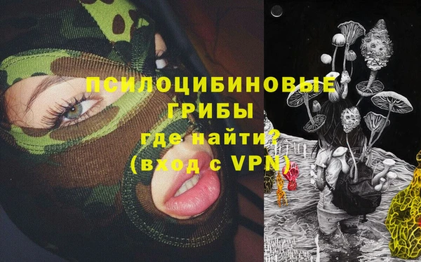 кокс Белокуриха