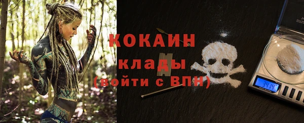кокс Белокуриха